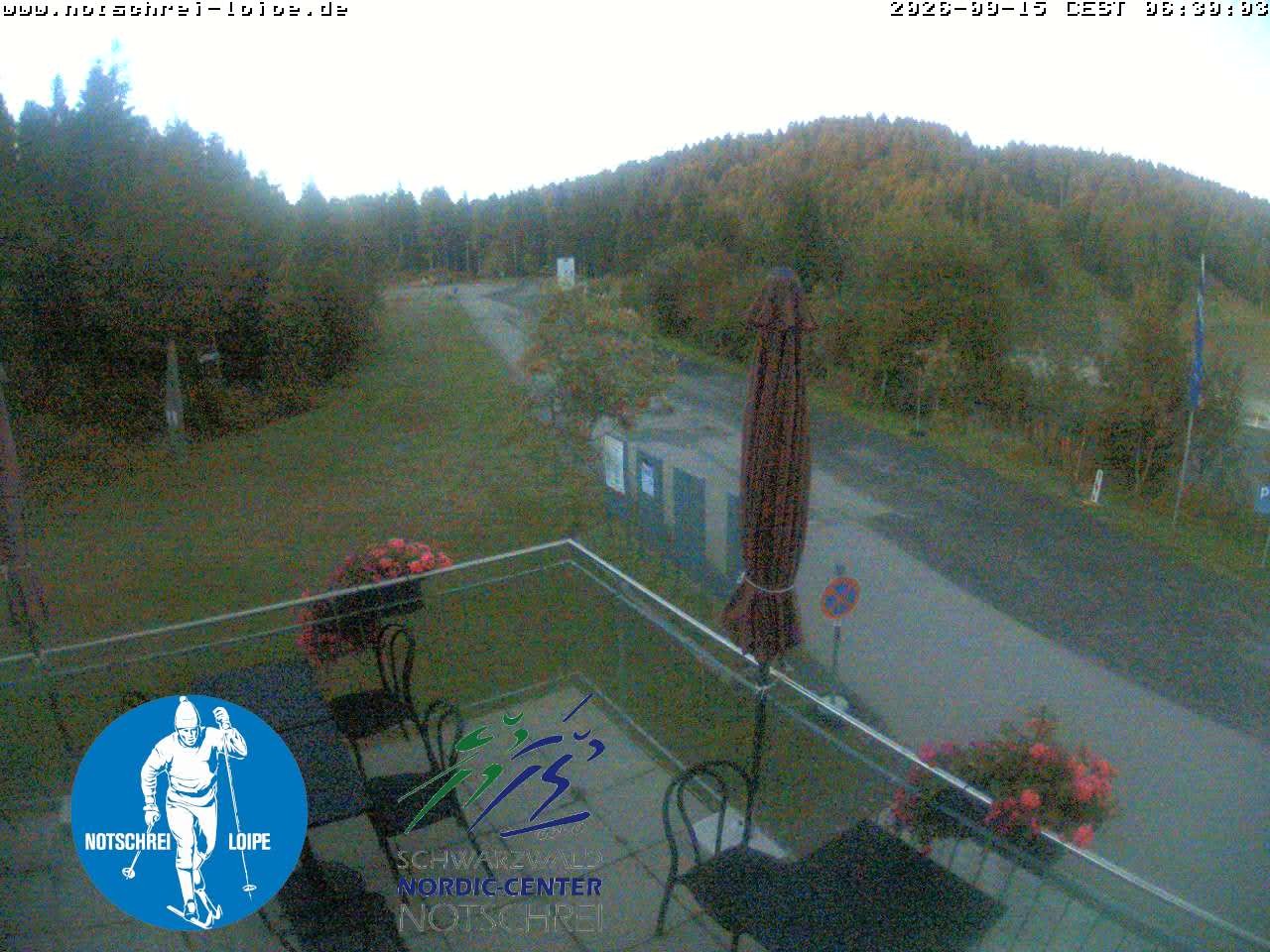 Archiv Foto Webcam Loipenzentrum Notschrei, Schwarzwald