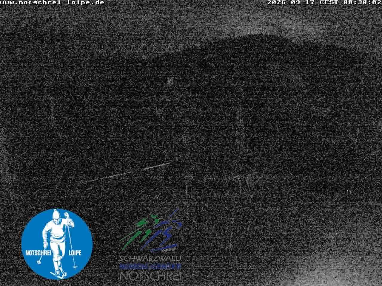 Archiv Foto Webcam Loipenzentrum Notschrei, Schwarzwald