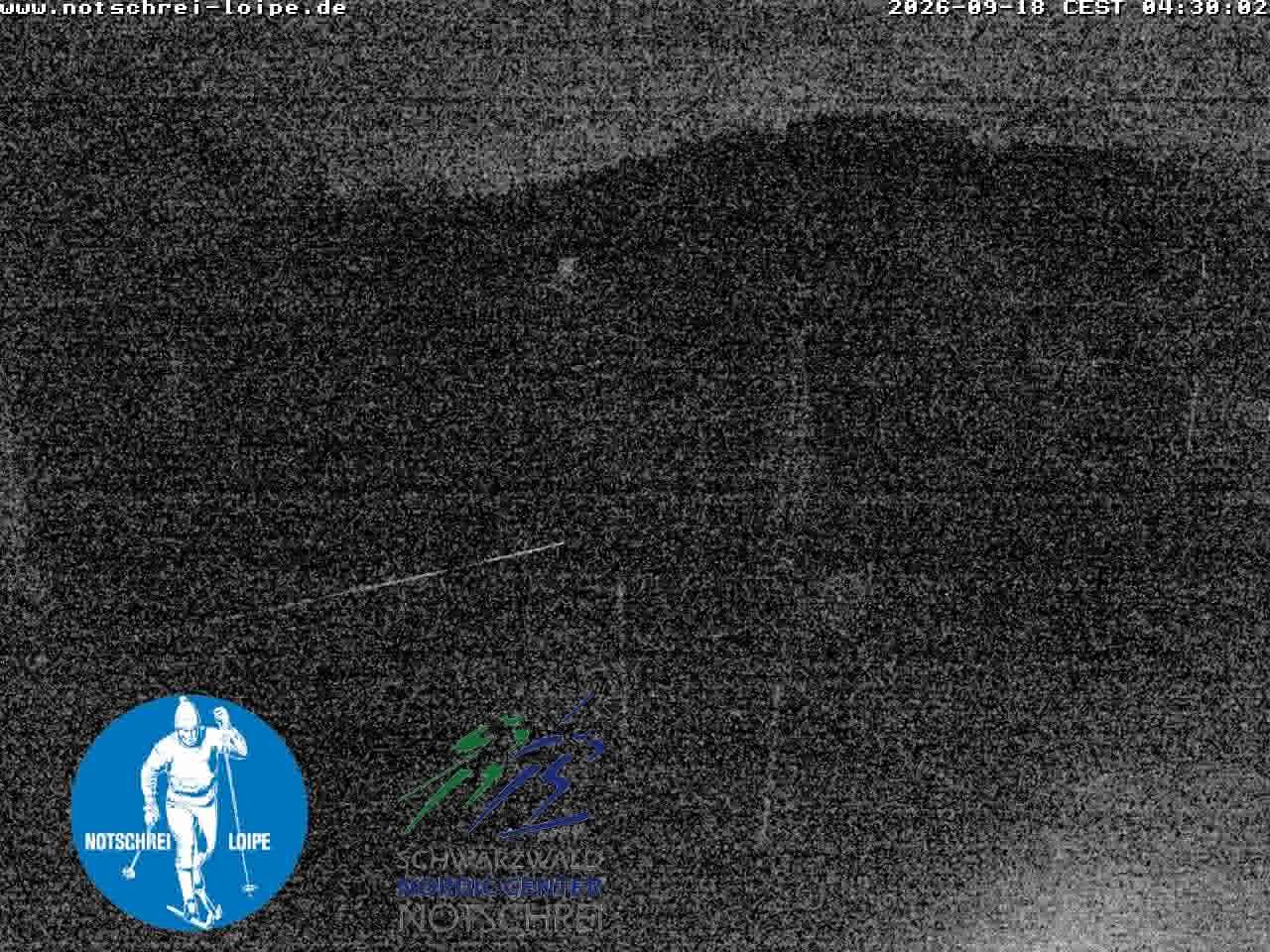 Archiv Foto Webcam Loipenzentrum Notschrei, Schwarzwald