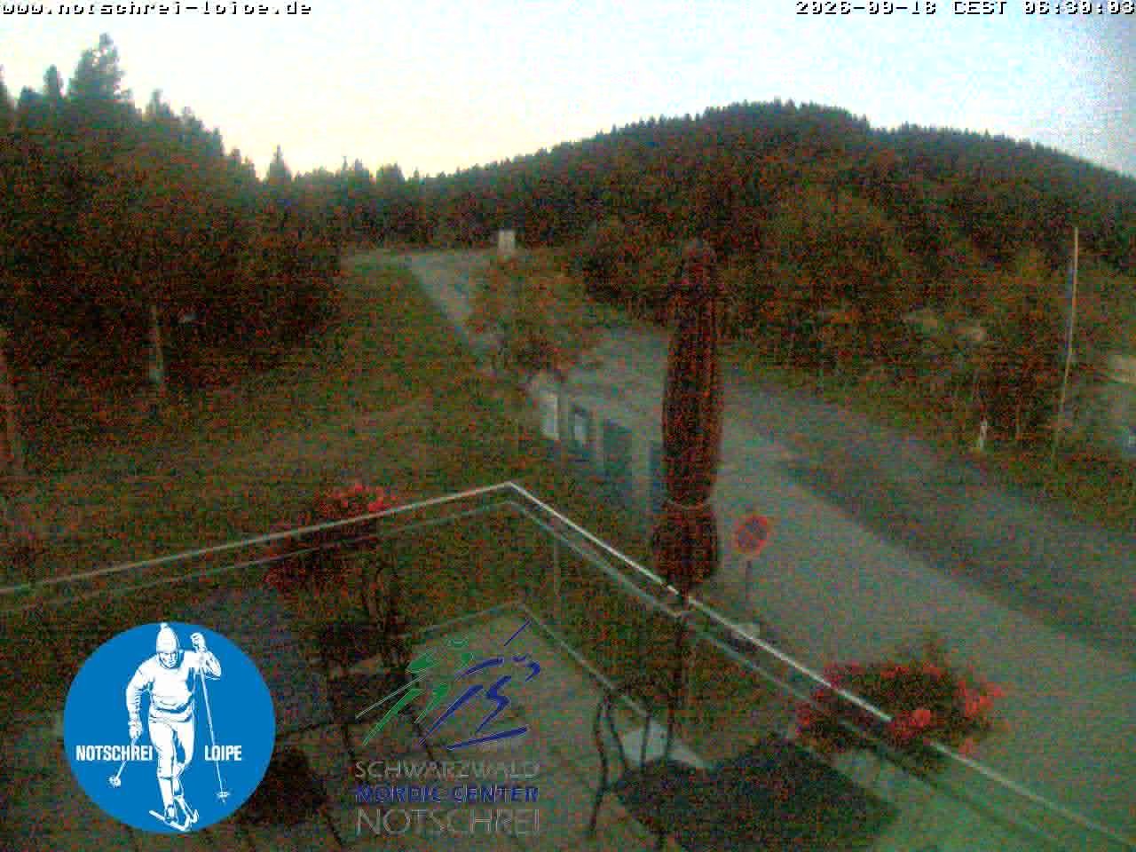 Archiv Foto Webcam Loipenzentrum Notschrei, Schwarzwald