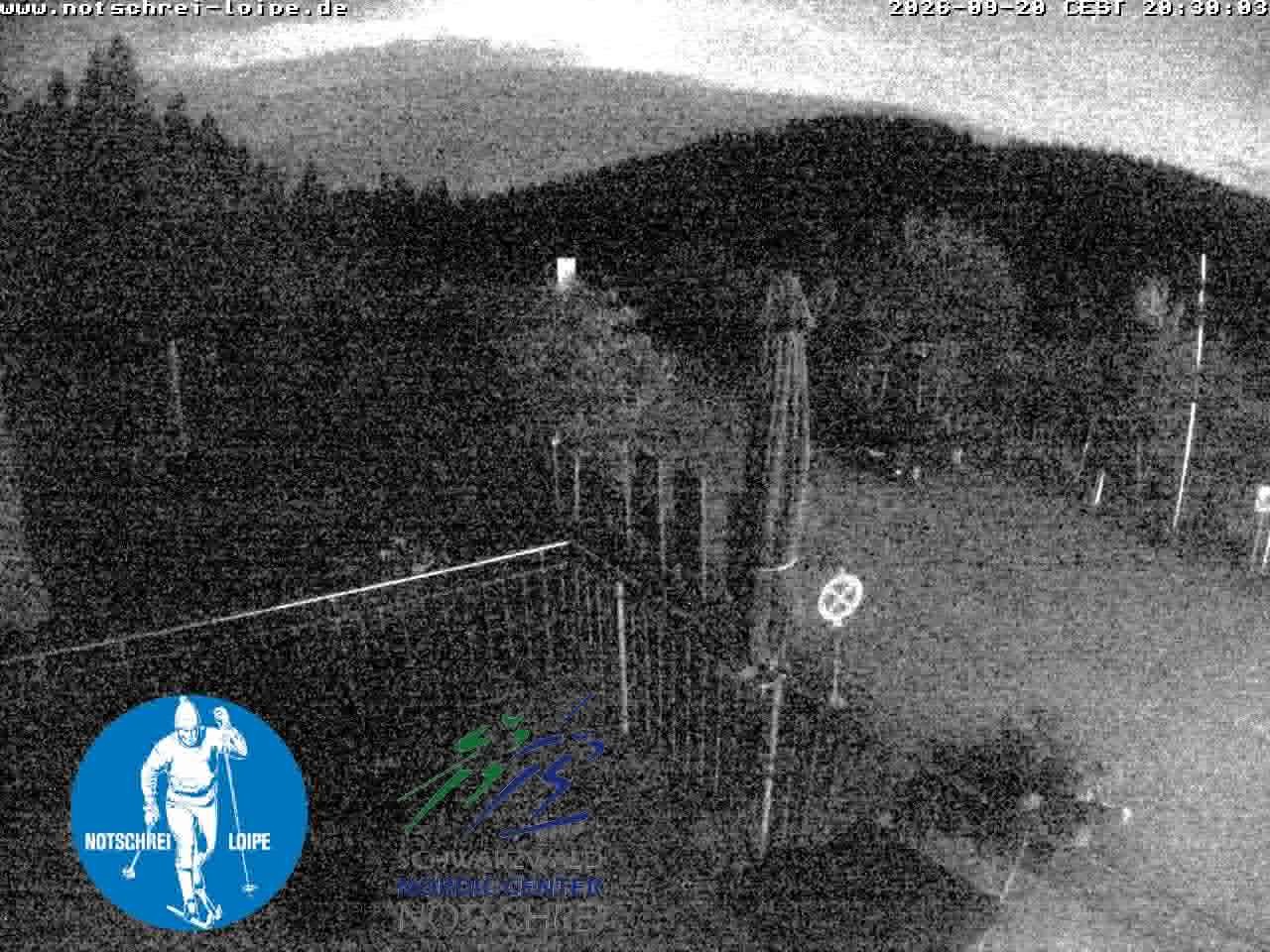Archiv Foto Webcam Loipenzentrum Notschrei, Schwarzwald