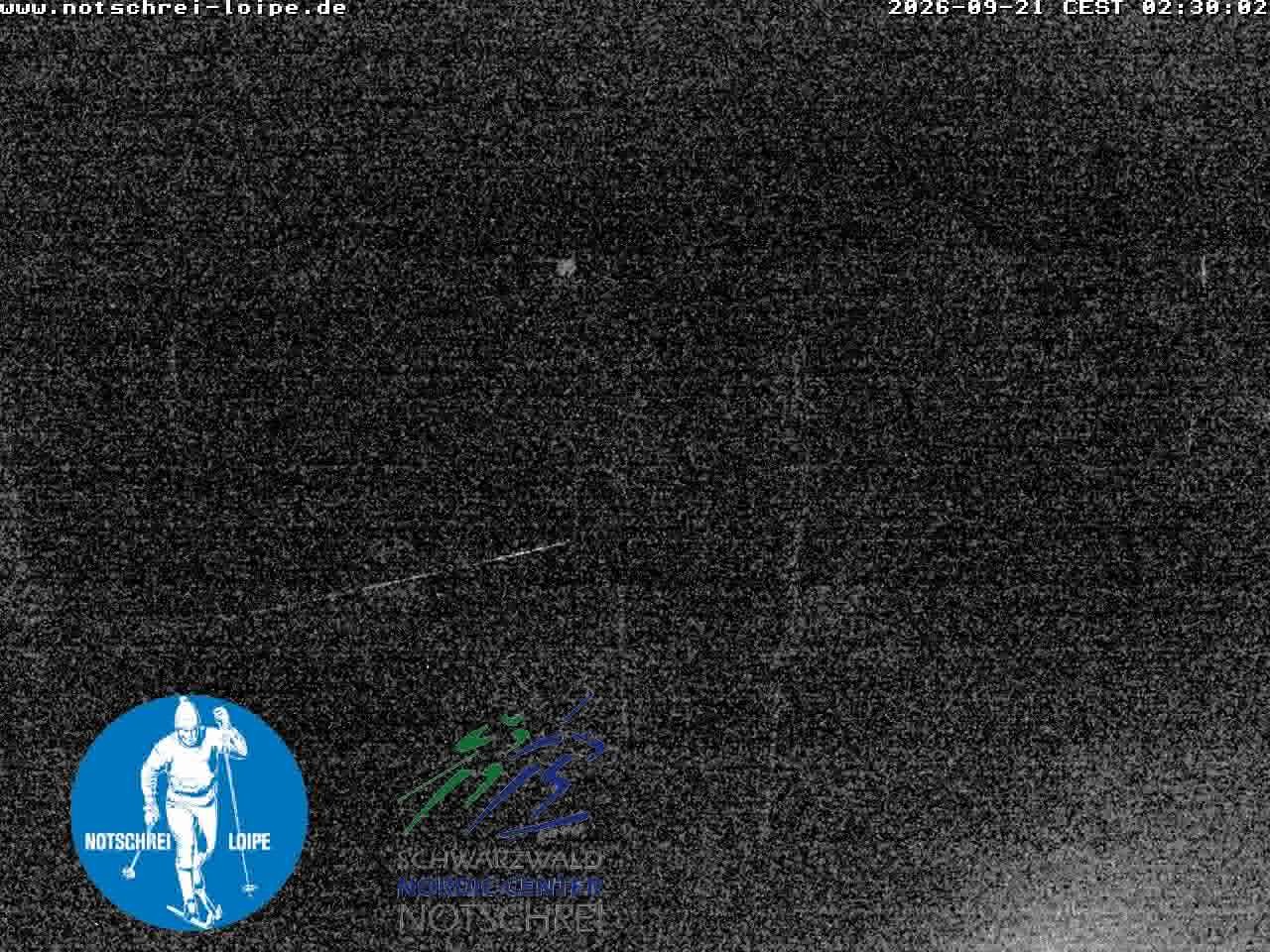 Archiv Foto Webcam Loipenzentrum Notschrei, Schwarzwald