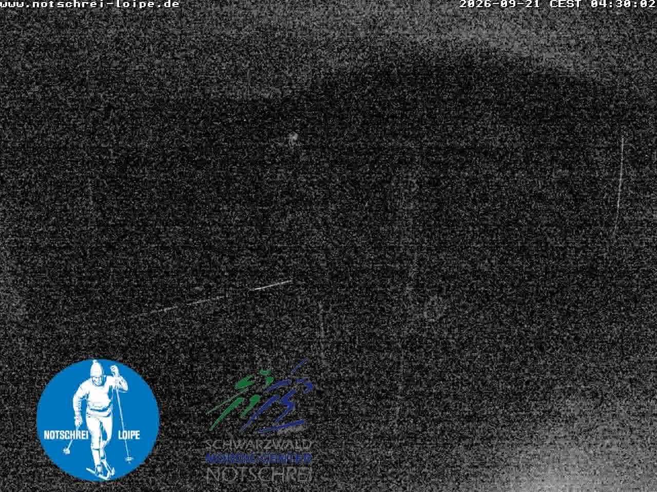 Archiv Foto Webcam Loipenzentrum Notschrei, Schwarzwald