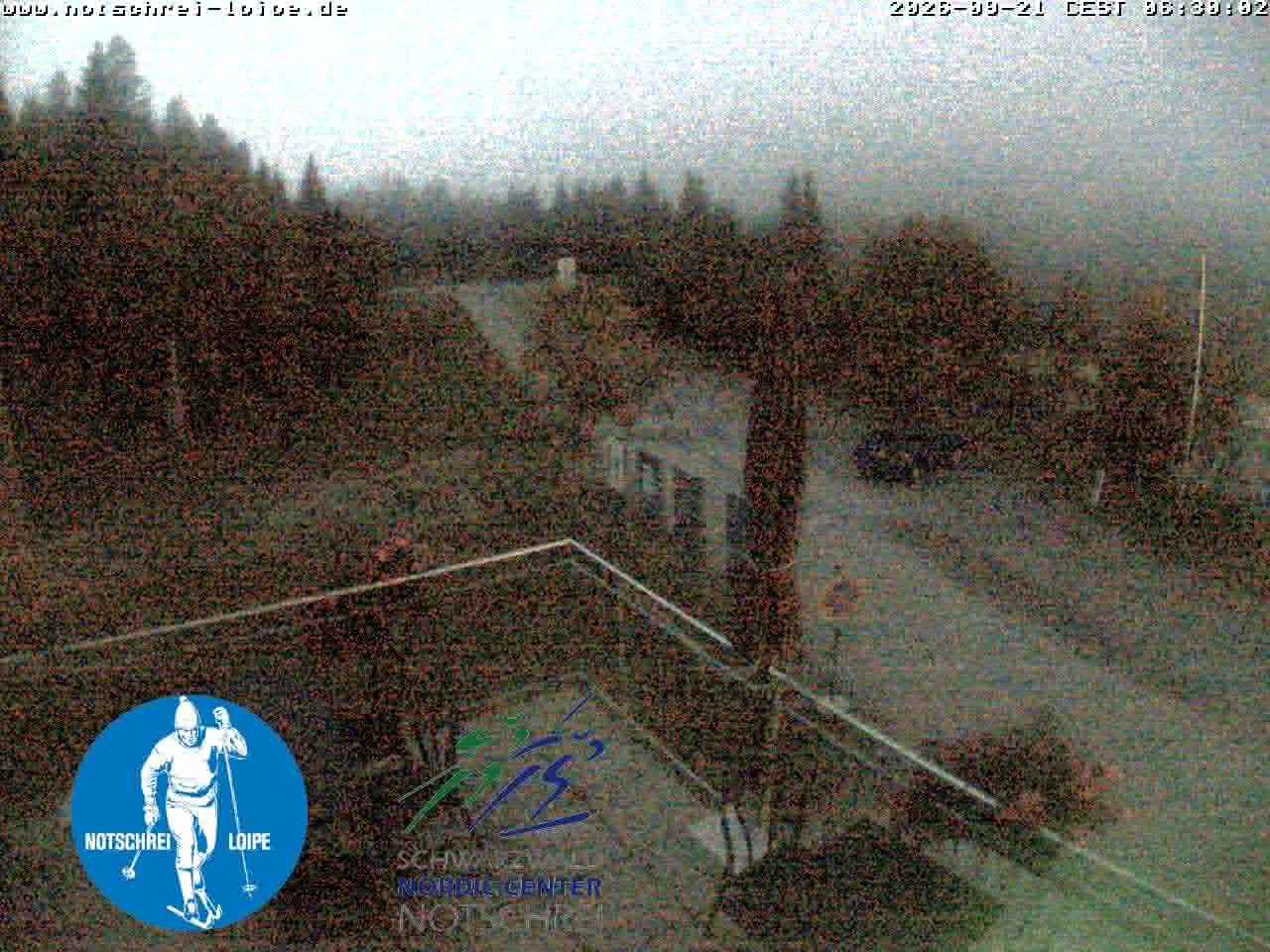 Archiv Foto Webcam Loipenzentrum Notschrei, Schwarzwald