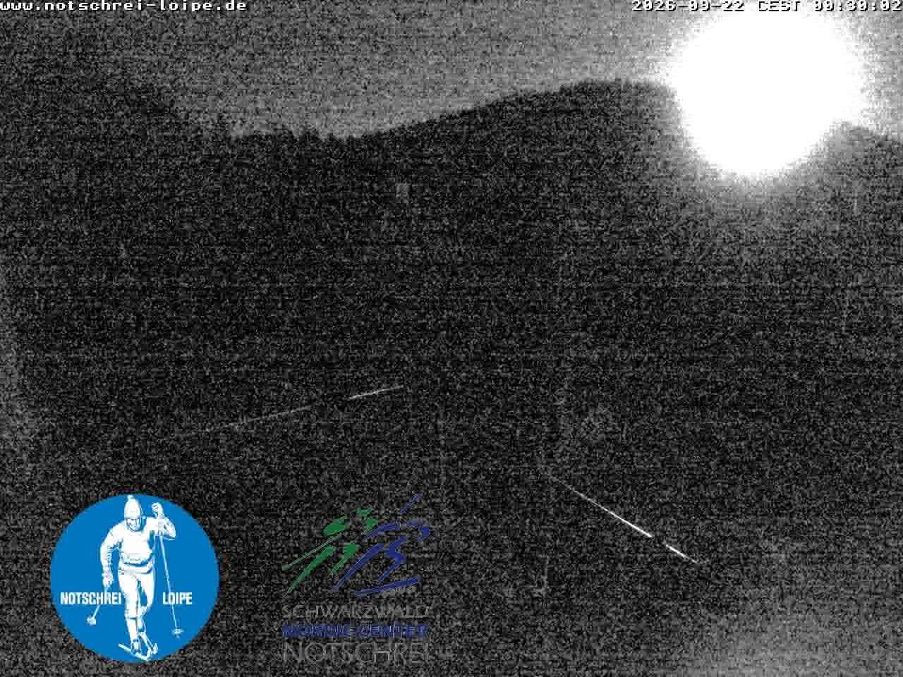 Archived image Webcam Cross Country Skiing Center Notschrei, Black Forest