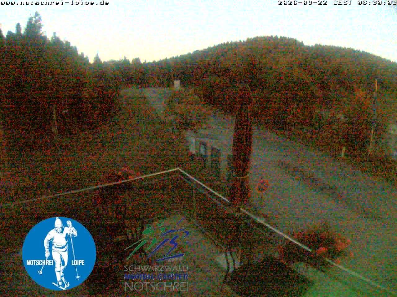 Archived image Webcam Cross Country Skiing Center Notschrei, Black Forest