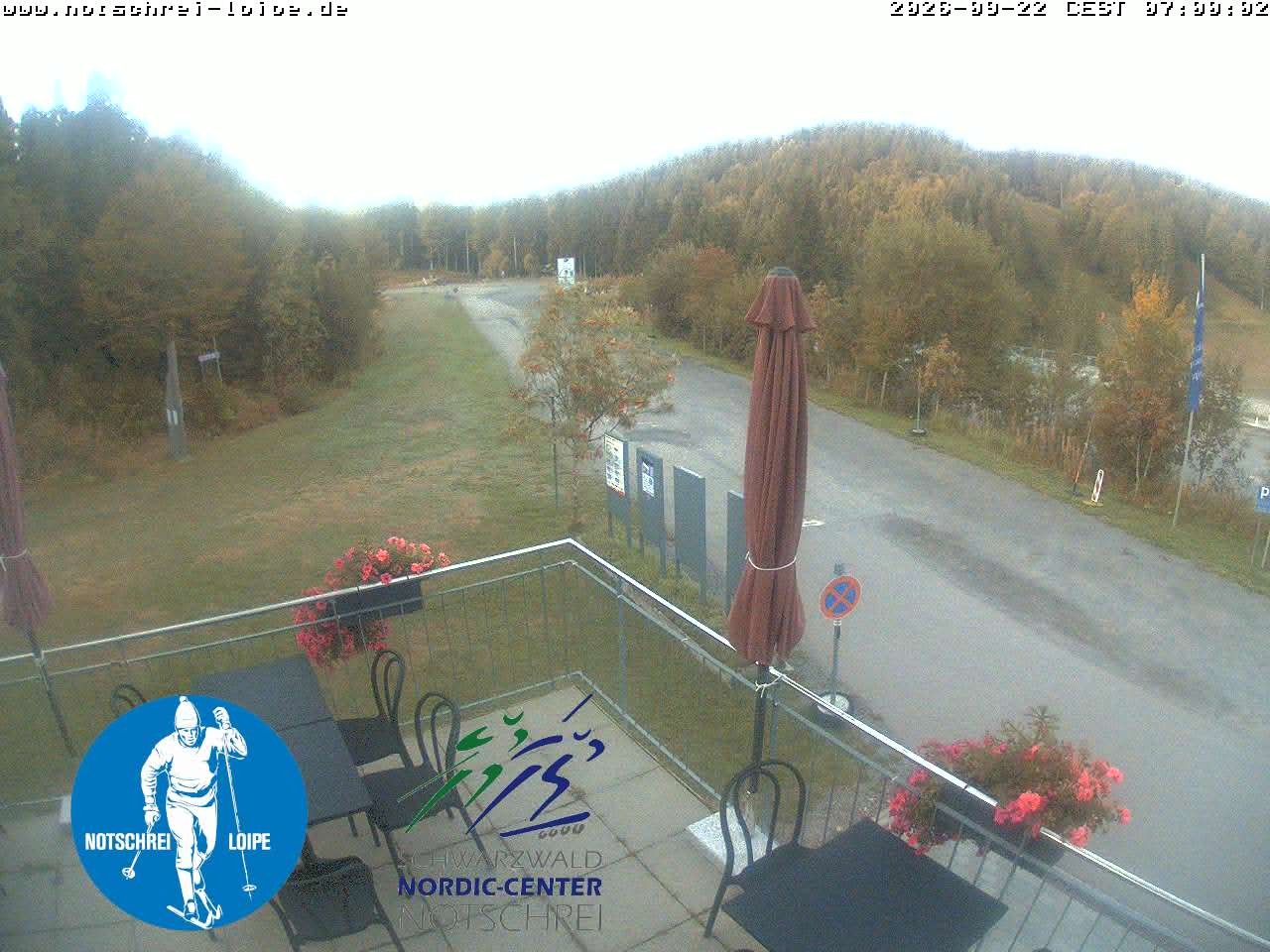 Archived image Webcam Cross Country Skiing Center Notschrei, Black Forest