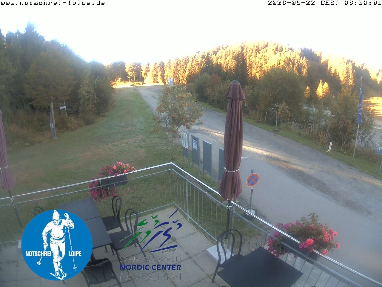Archived image Webcam Cross Country Skiing Center Notschrei, Black Forest