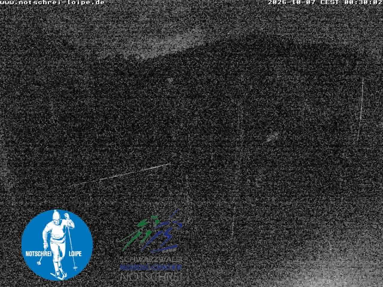 Archiv Foto Webcam Loipenzentrum Notschrei, Schwarzwald