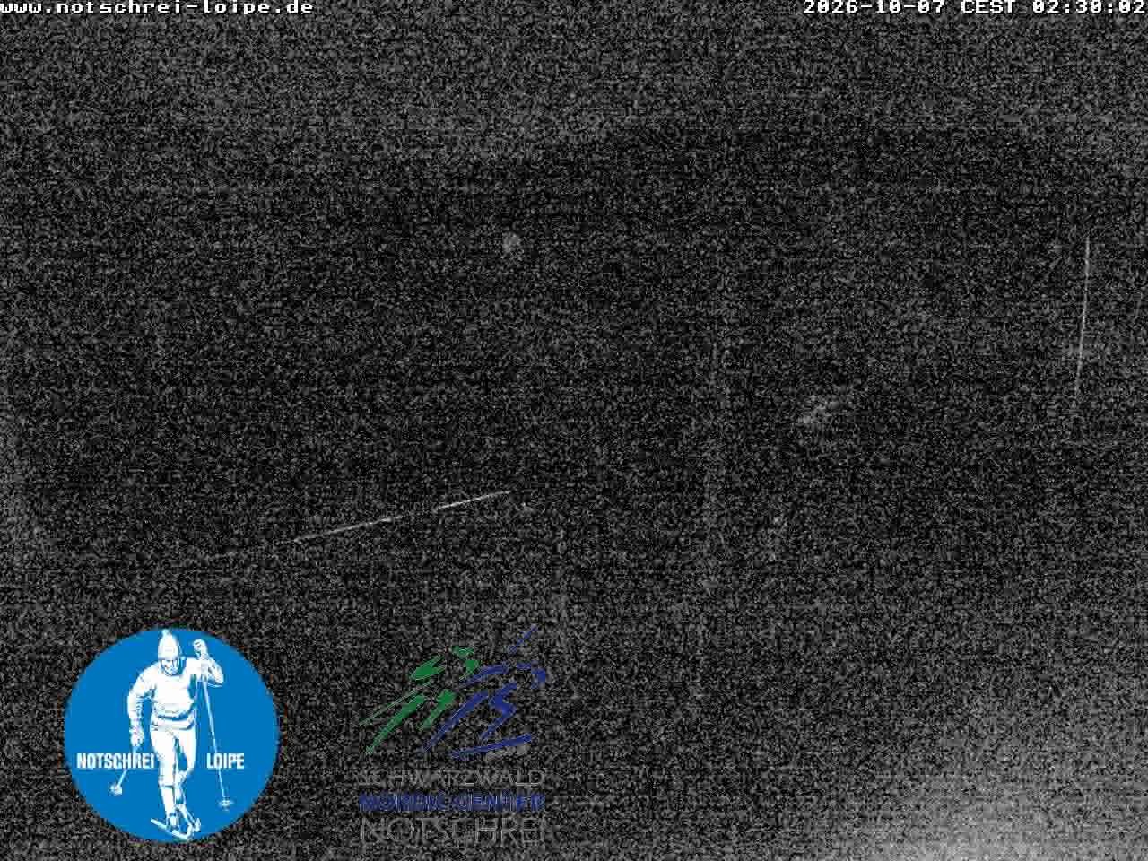 Archiv Foto Webcam Loipenzentrum Notschrei, Schwarzwald
