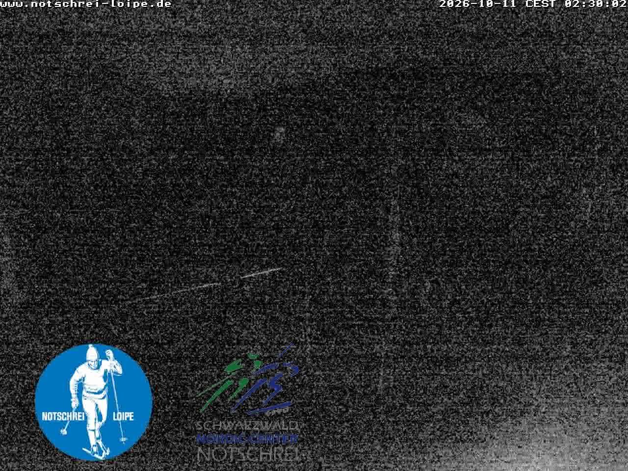 Archived image Webcam Cross Country Skiing Center Notschrei, Black Forest