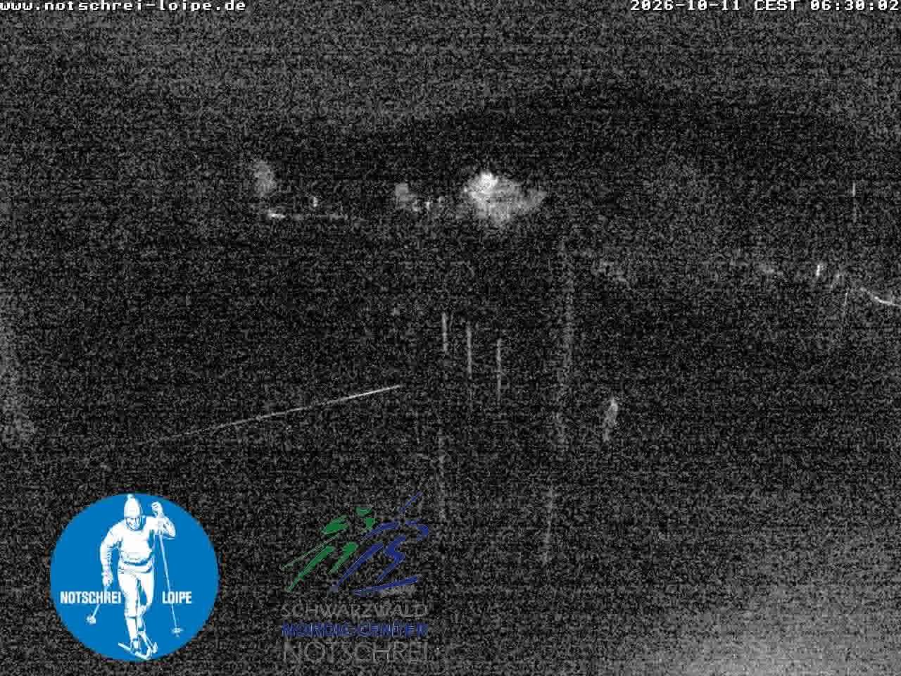 Archived image Webcam Cross Country Skiing Center Notschrei, Black Forest
