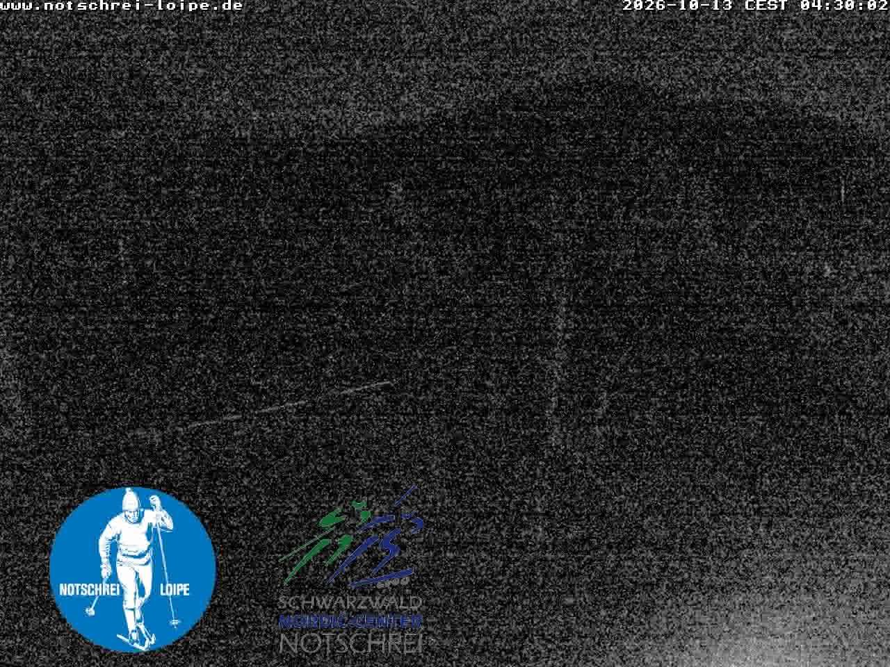 Archiv Foto Webcam Loipenzentrum Notschrei, Schwarzwald