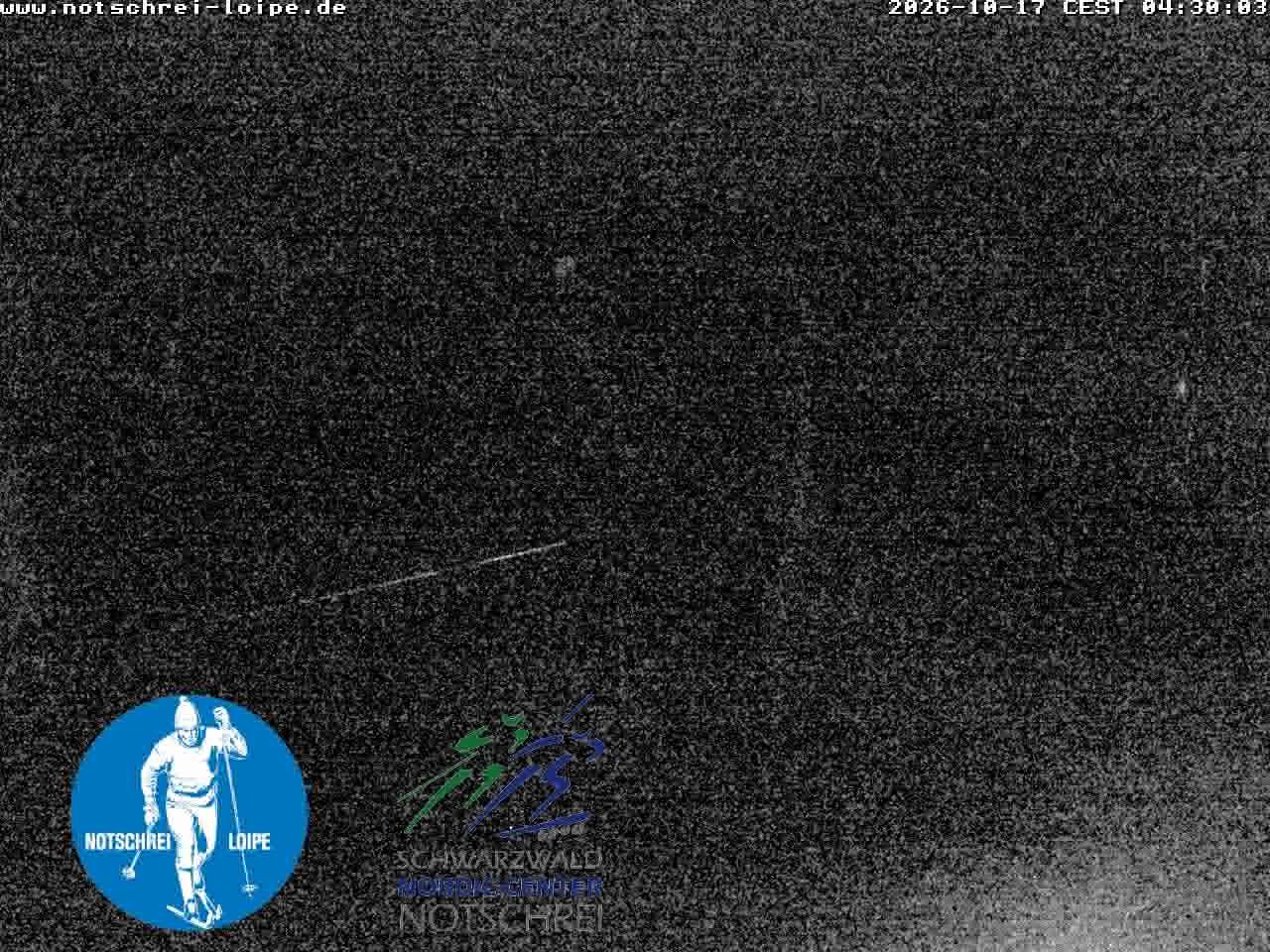 Archiv Foto Webcam Loipenzentrum Notschrei, Schwarzwald