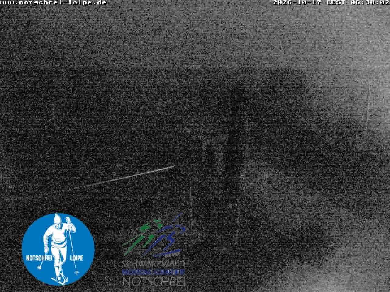 Archiv Foto Webcam Loipenzentrum Notschrei, Schwarzwald