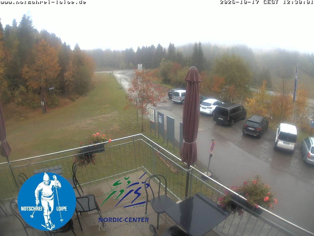 Archiv Foto Webcam Loipenzentrum Notschrei, Schwarzwald