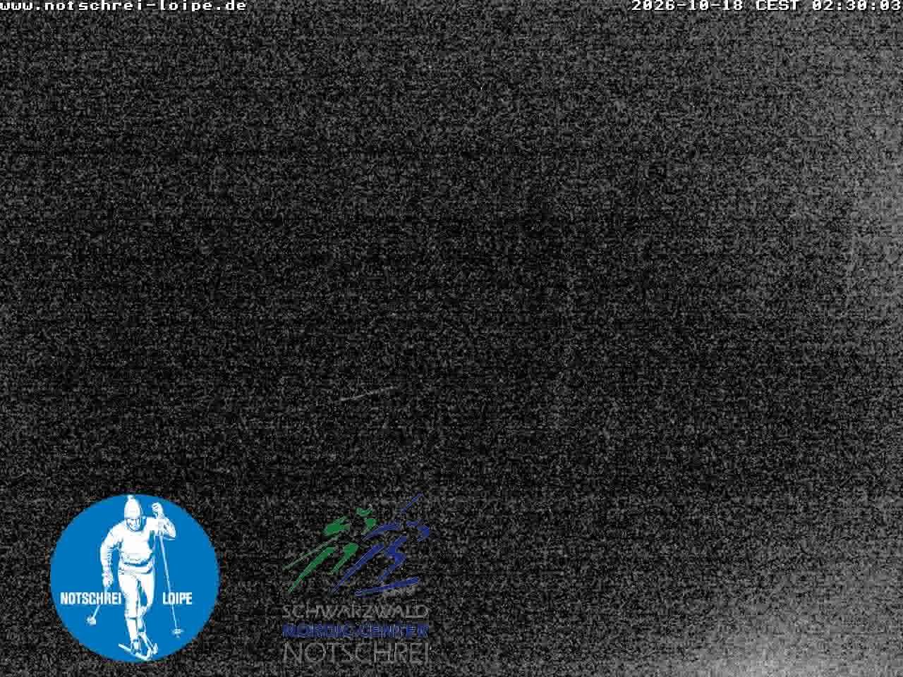 Archiv Foto Webcam Loipenzentrum Notschrei, Schwarzwald