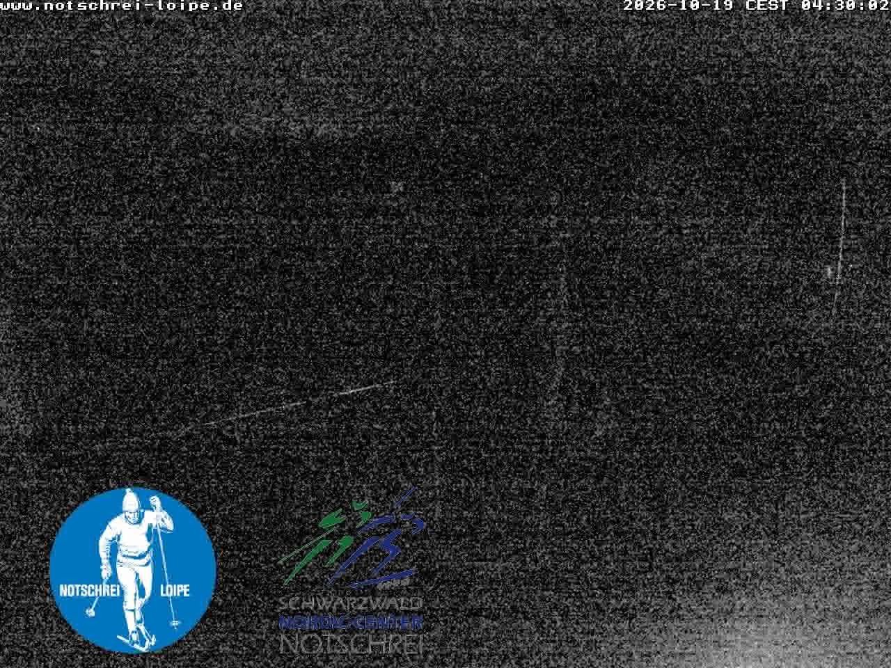 Archiv Foto Webcam Loipenzentrum Notschrei, Schwarzwald
