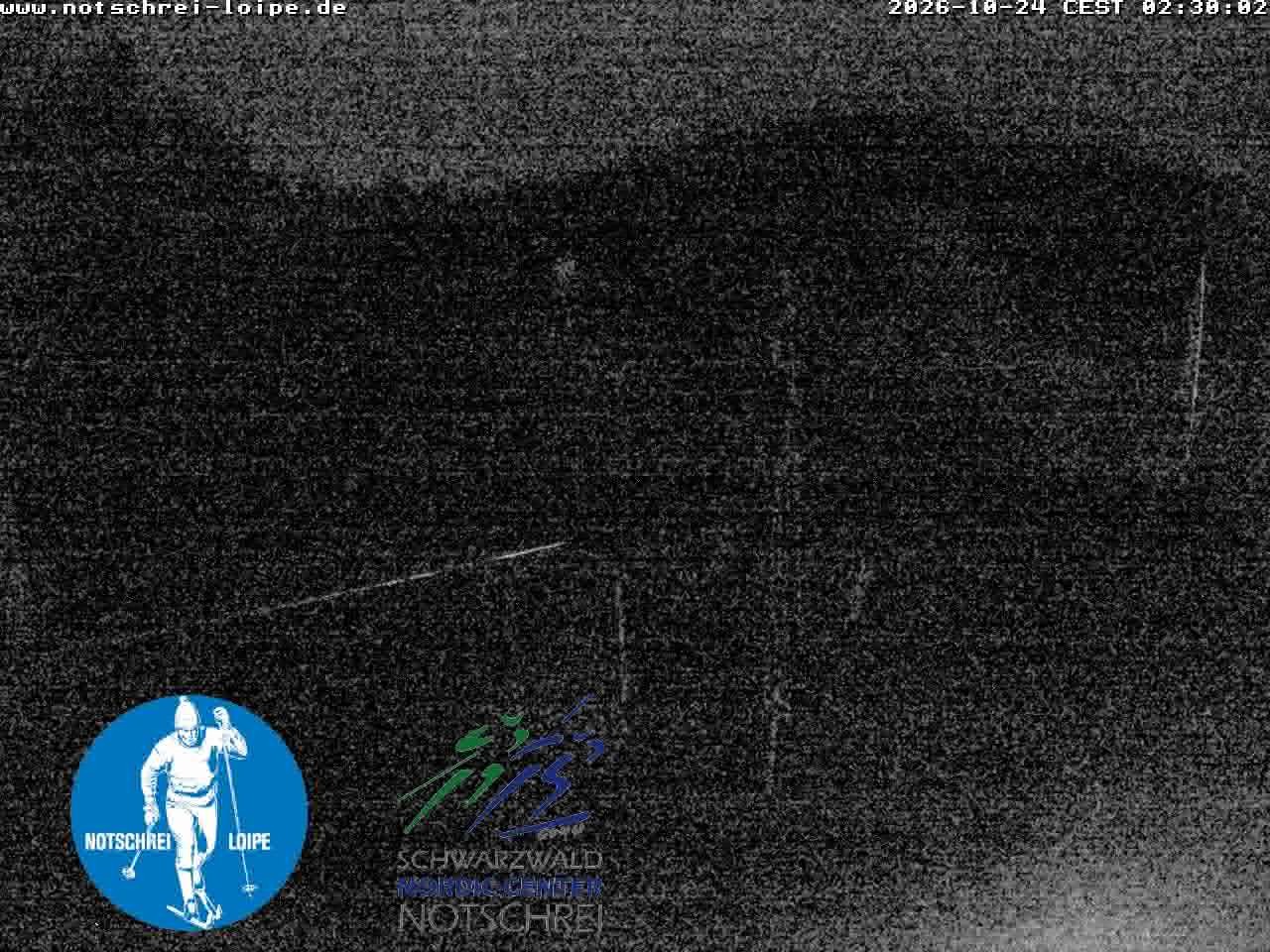 Archived image Webcam Cross Country Skiing Center Notschrei, Black Forest