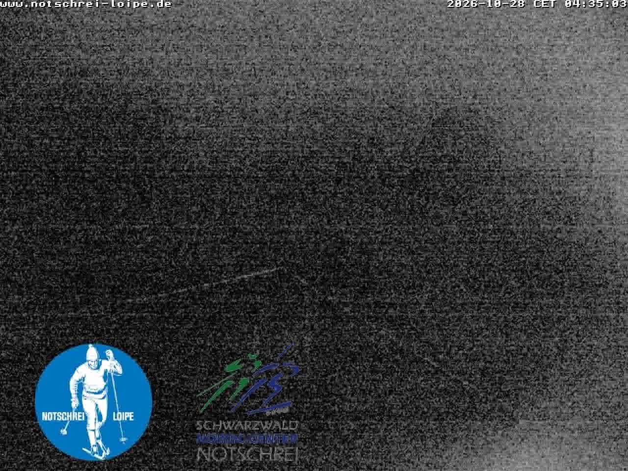 Archiv Foto Webcam Loipenzentrum Notschrei, Schwarzwald