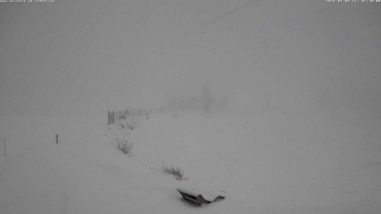 Archiv Foto Webcam Jochstub'n-See, Scheffau