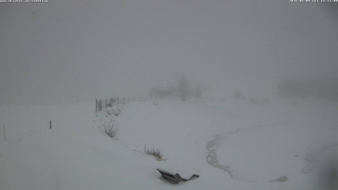 Archiv Foto Webcam Jochstub'n-See, Scheffau