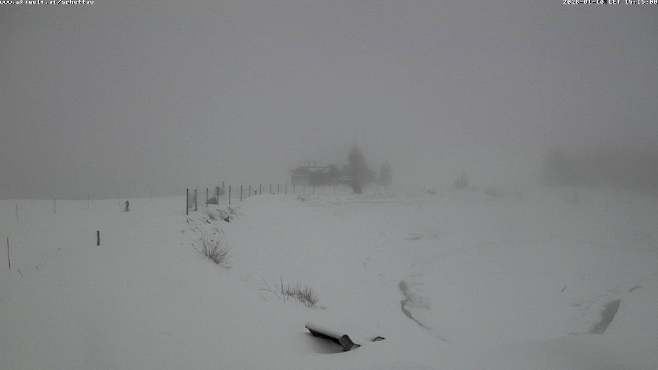 Archiv Foto Webcam Jochstub'n-See, Scheffau