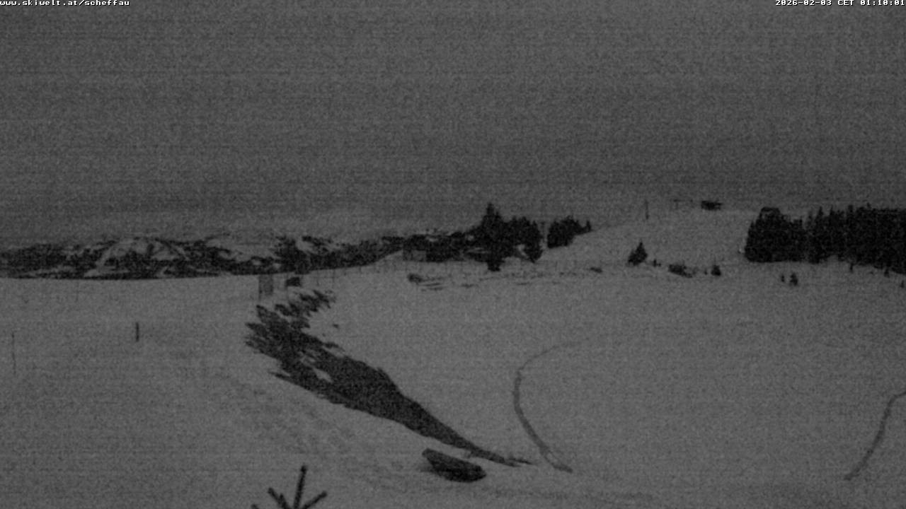 Archiv Foto Webcam Jochstub'n-See, Scheffau