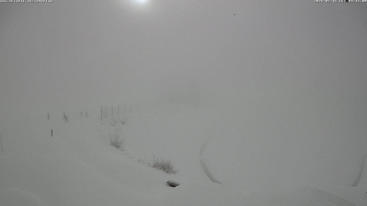 Archiv Foto Webcam Jochstub'n-See, Scheffau