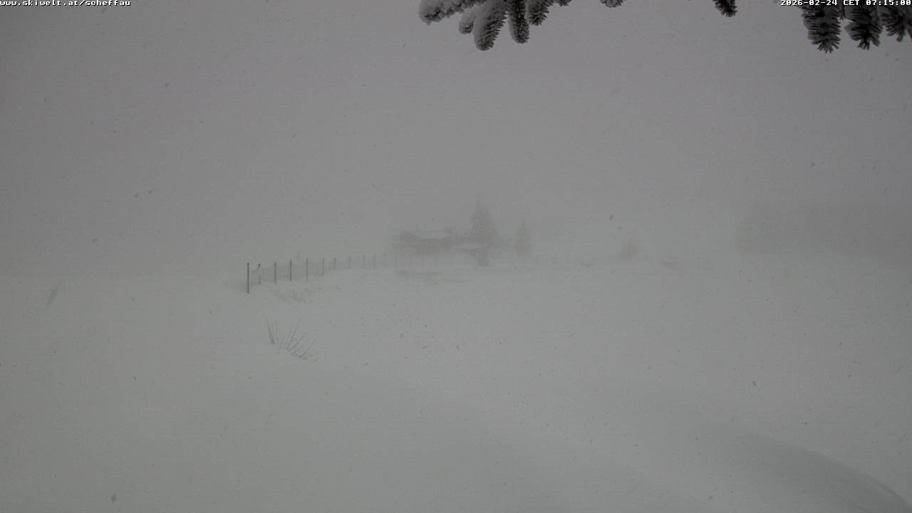 Archiv Foto Webcam Jochstub'n-See, Scheffau