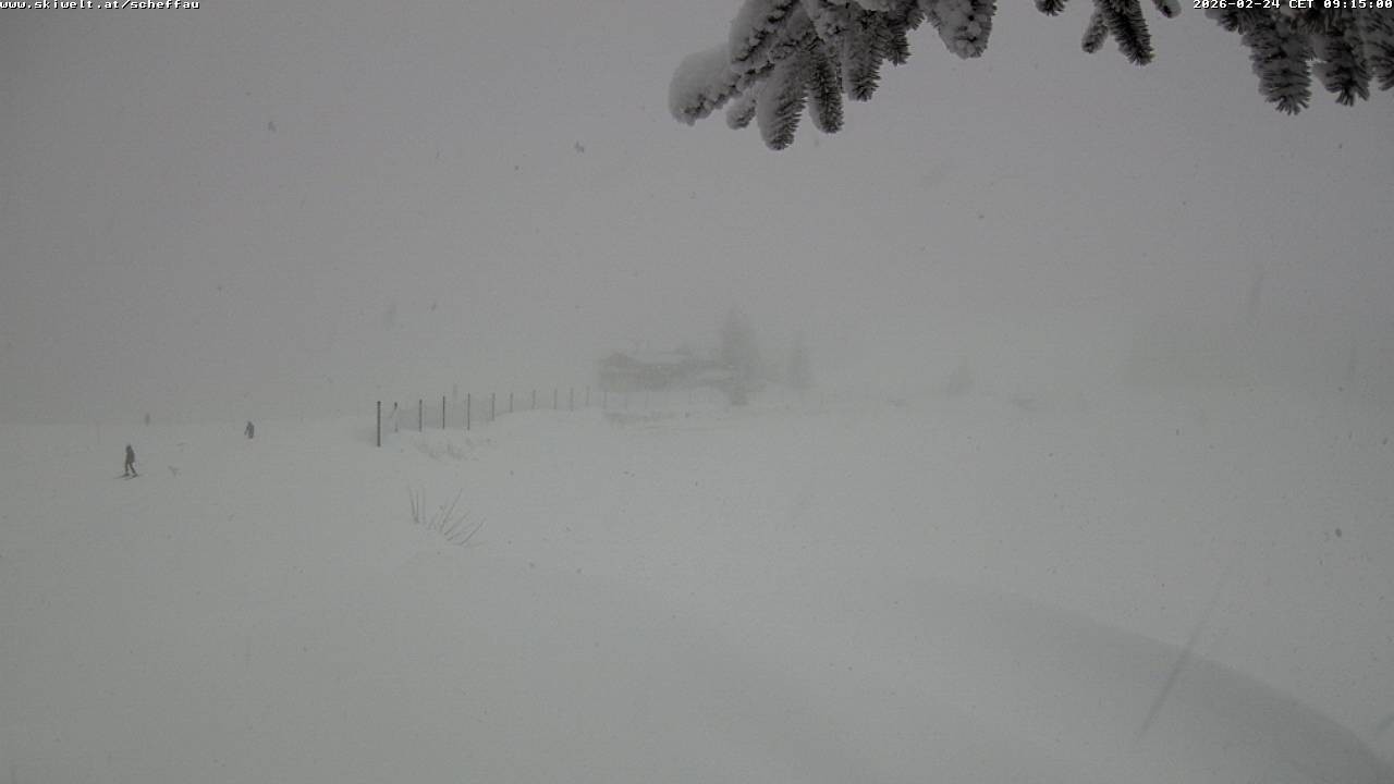 Archiv Foto Webcam Jochstub'n-See, Scheffau