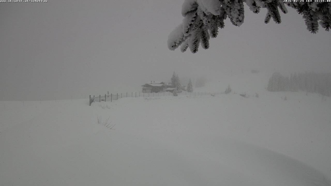 Archiv Foto Webcam Jochstub'n-See, Scheffau