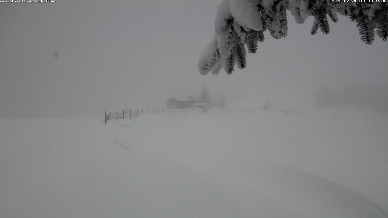 Archiv Foto Webcam Jochstub'n-See, Scheffau