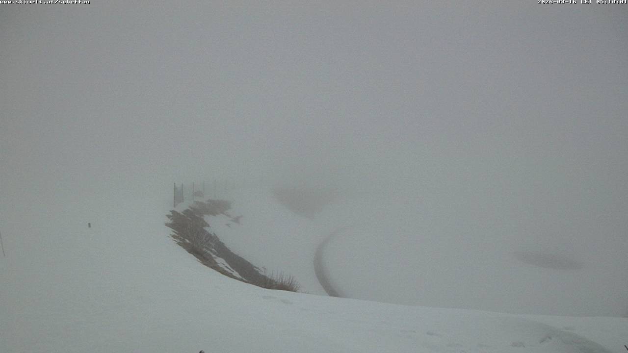 Archiv Foto Webcam Jochstub'n-See, Scheffau