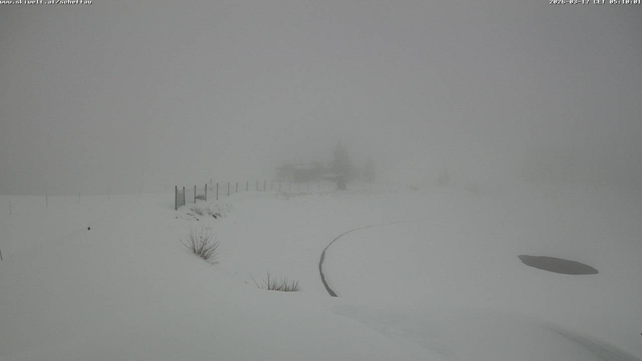 Archiv Foto Webcam Jochstub'n-See, Scheffau