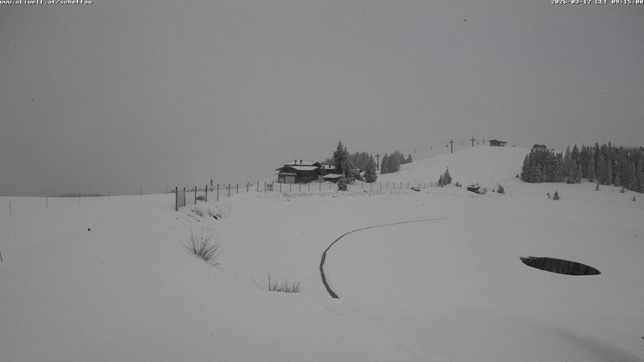 Archiv Foto Webcam Jochstub'n-See, Scheffau