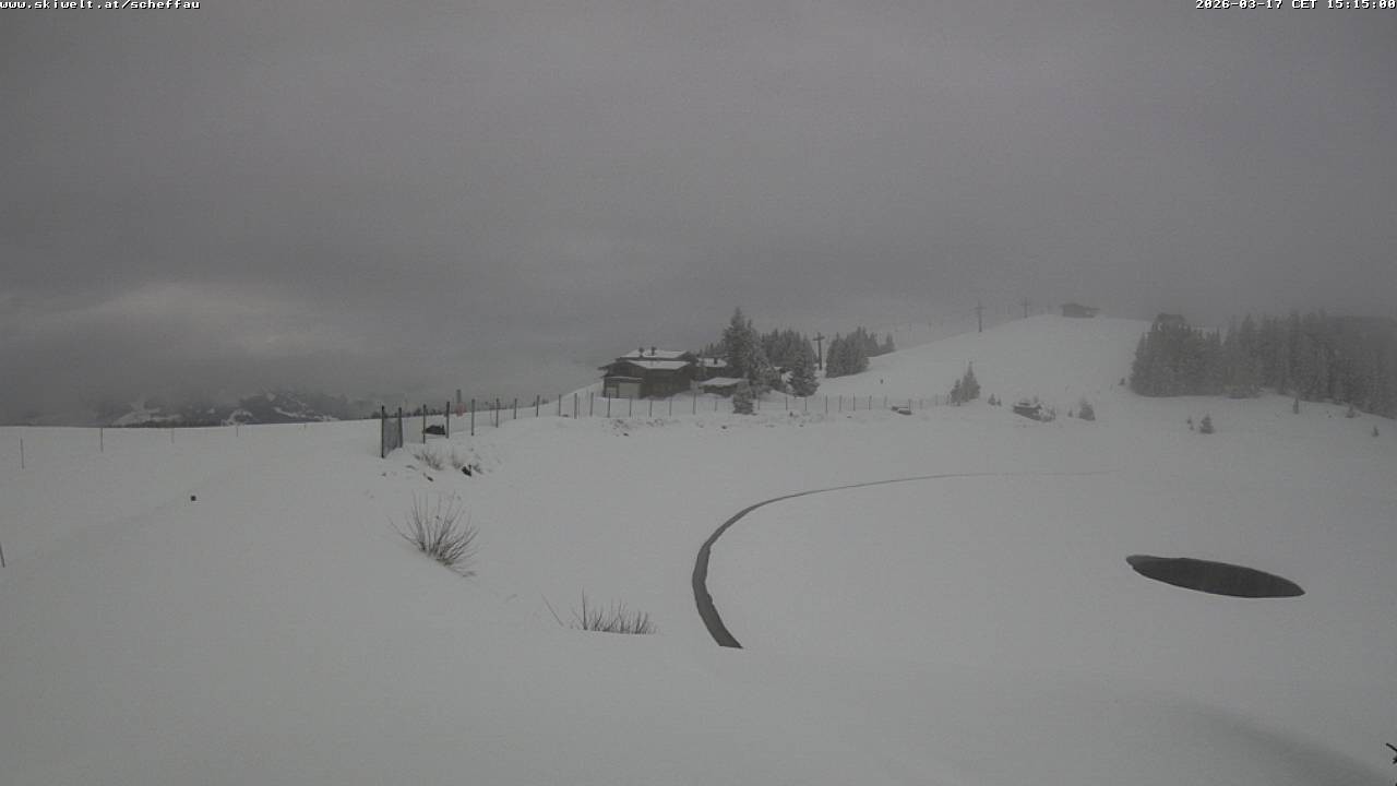 Archiv Foto Webcam Jochstub'n-See, Scheffau