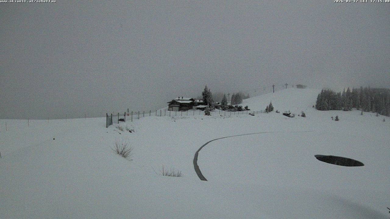 Archiv Foto Webcam Jochstub'n-See, Scheffau