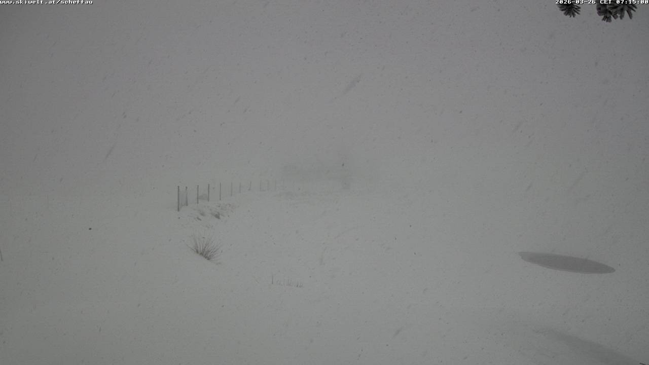 Archiv Foto Webcam Jochstub'n-See, Scheffau