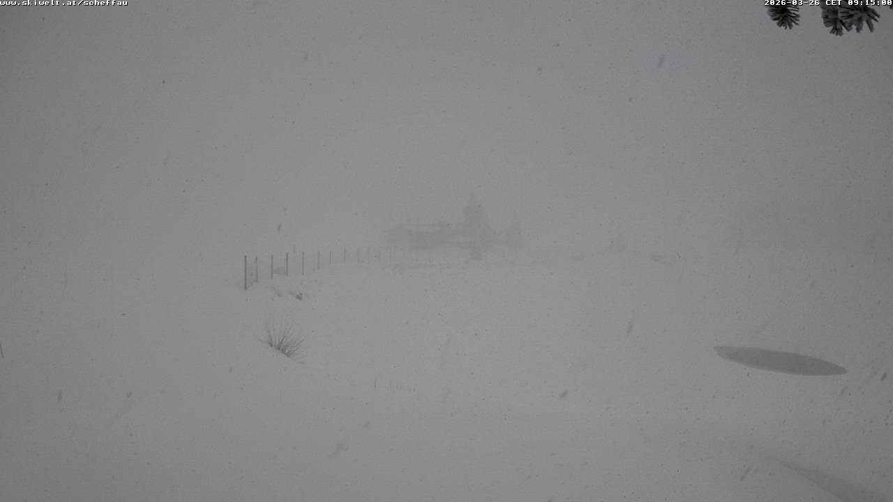 Archiv Foto Webcam Jochstub'n-See, Scheffau