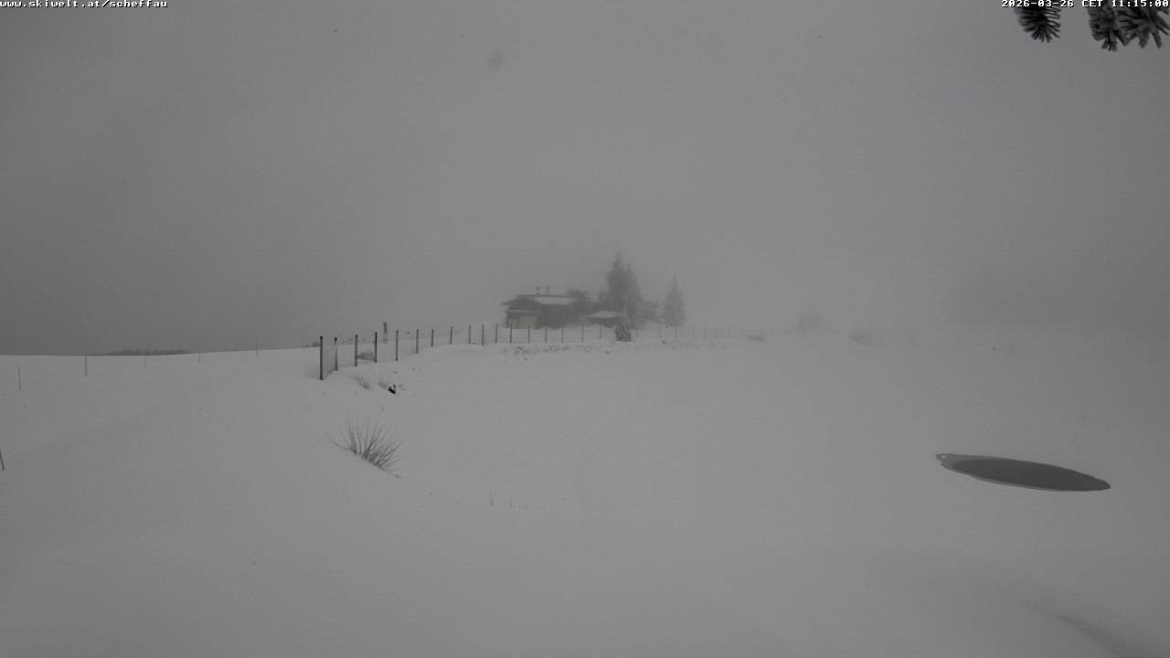 Archiv Foto Webcam Jochstub'n-See, Scheffau