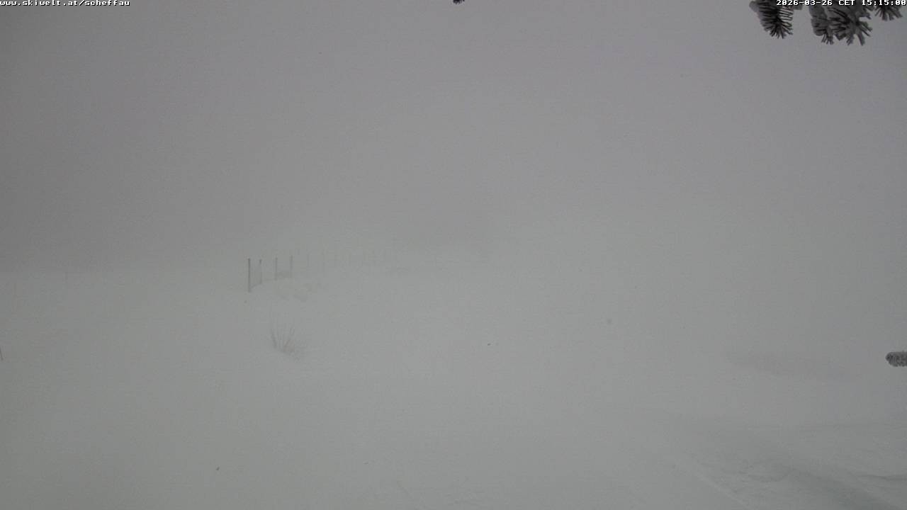 Archiv Foto Webcam Jochstub'n-See, Scheffau