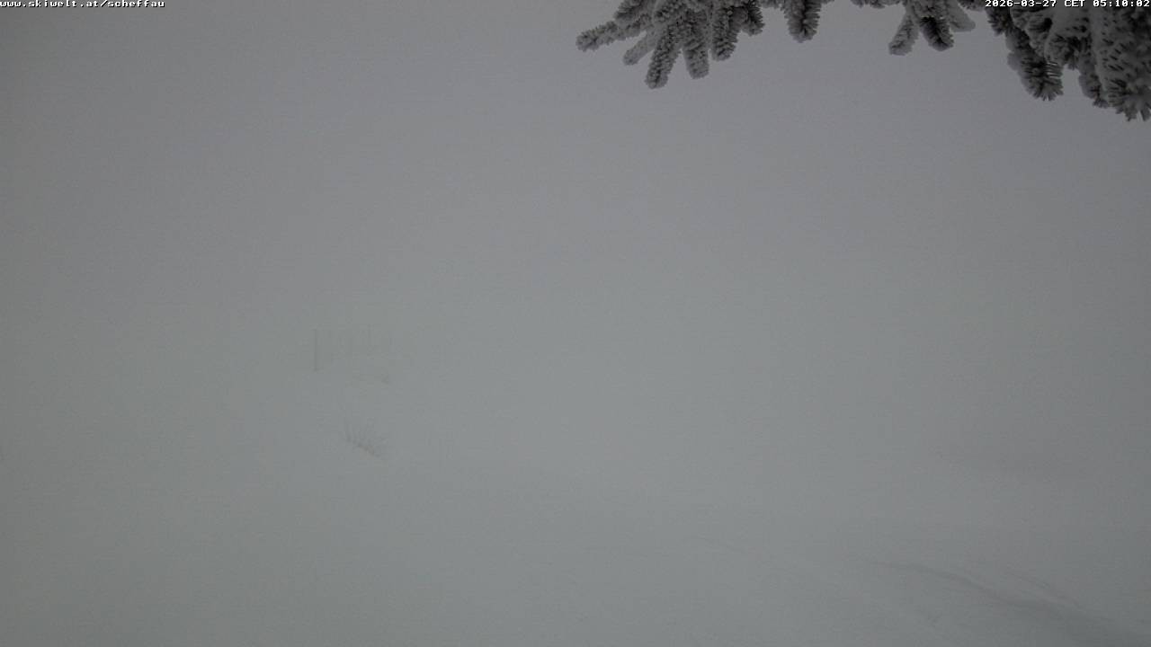 Archiv Foto Webcam Jochstub'n-See, Scheffau