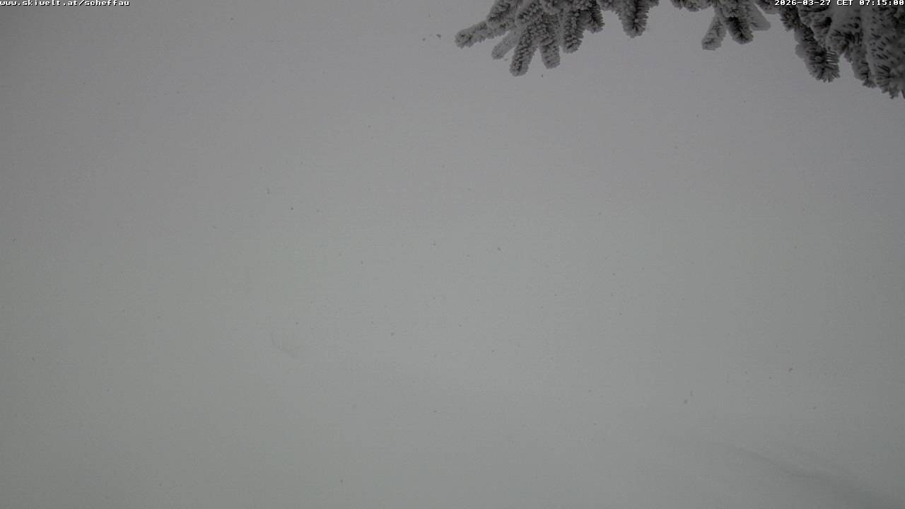 Archiv Foto Webcam Jochstub'n-See, Scheffau