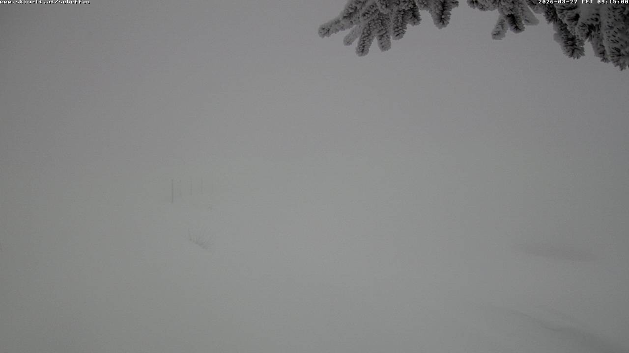 Archiv Foto Webcam Jochstub'n-See, Scheffau