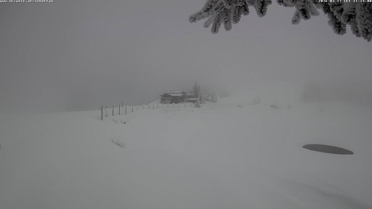 Archiv Foto Webcam Jochstub'n-See, Scheffau