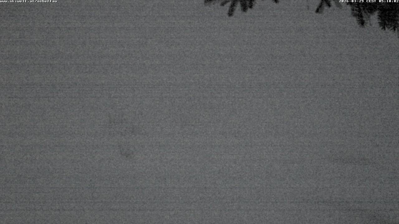 Archiv Foto Webcam Jochstub'n-See, Scheffau