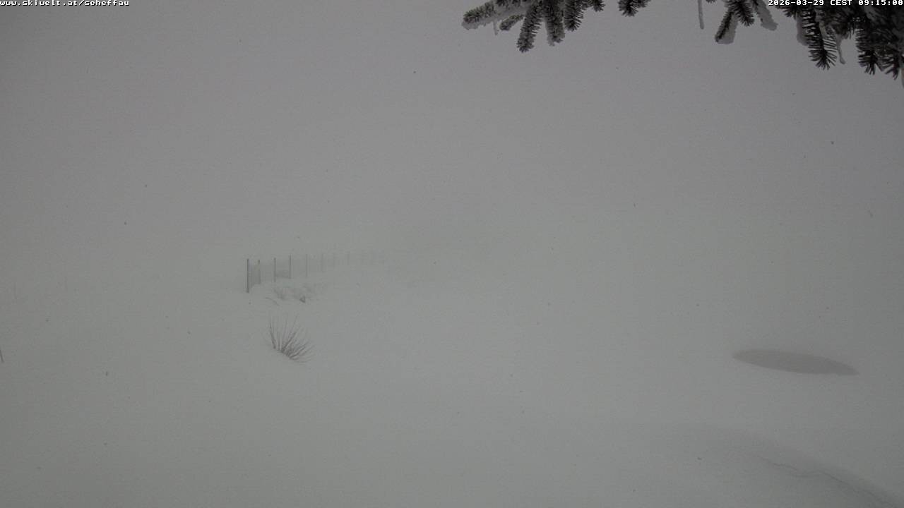 Archiv Foto Webcam Jochstub'n-See, Scheffau