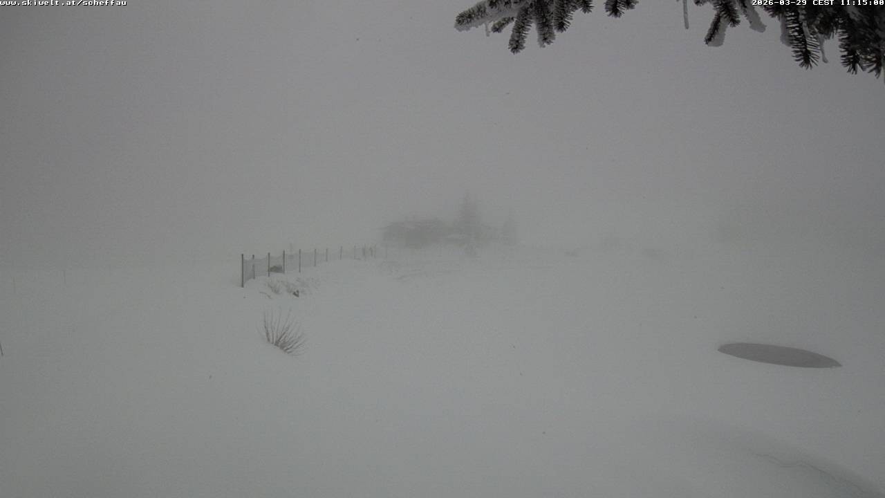 Archiv Foto Webcam Jochstub'n-See, Scheffau