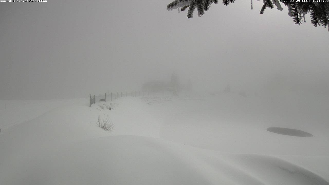 Archiv Foto Webcam Jochstub'n-See, Scheffau